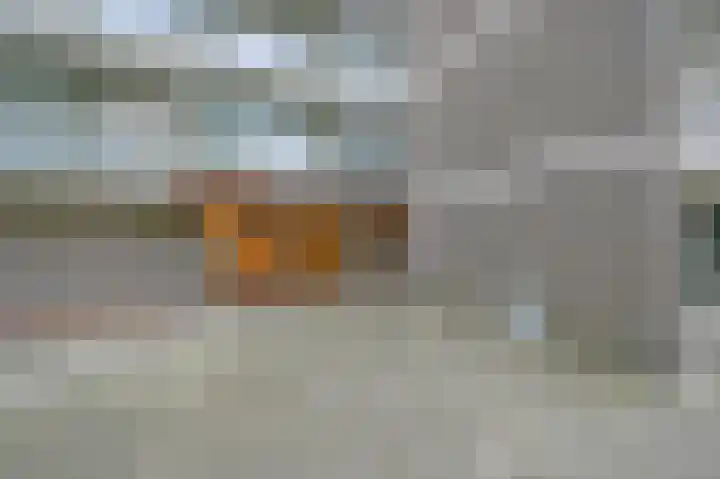 Elzendreef 123 Voorburg thumbnail 4
