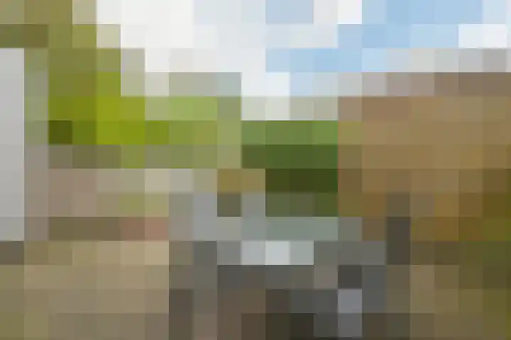 Elzendreef 134 Voorburg thumbnail 25