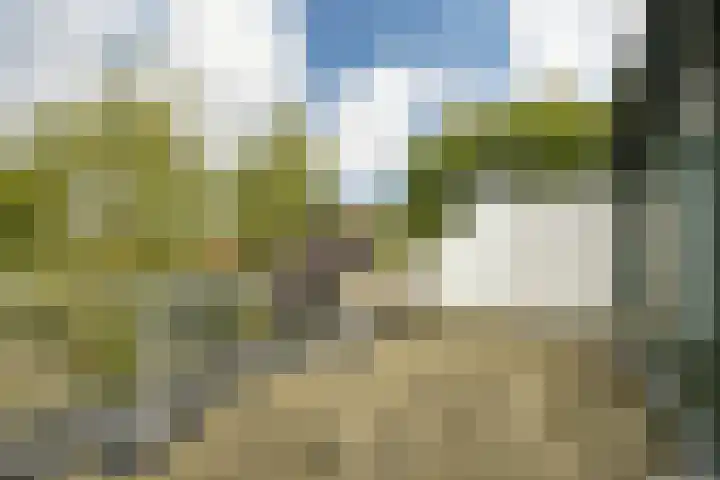Elzendreef 134 Voorburg thumbnail 45