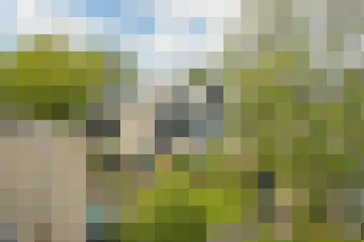 Elzendreef 134 Voorburg thumbnail 46