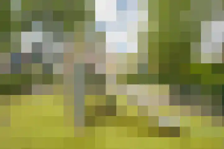 Elzendreef 134 Voorburg thumbnail 47