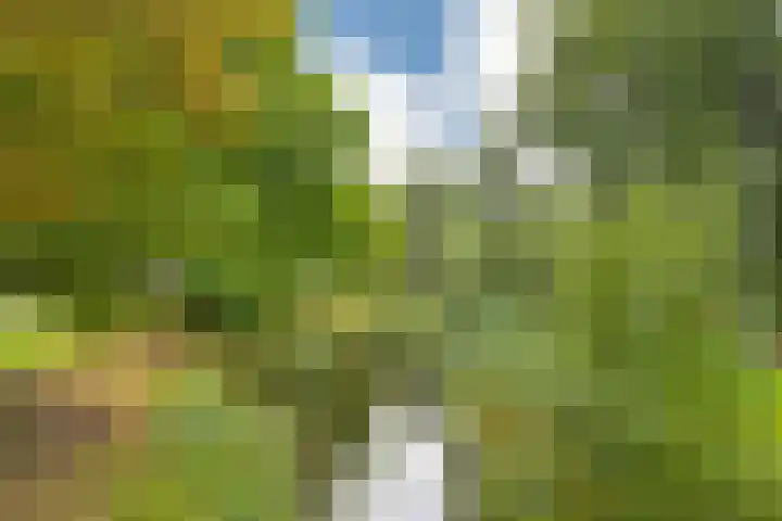 Elzendreef 134 Voorburg thumbnail 48