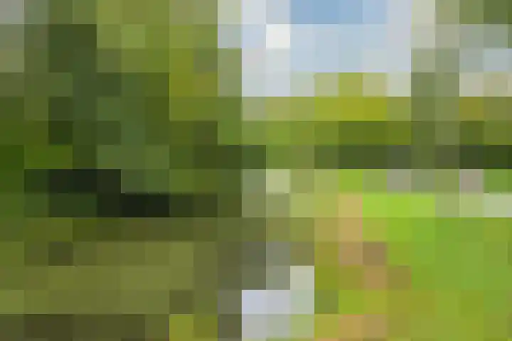 Elzendreef 134 Voorburg thumbnail 49