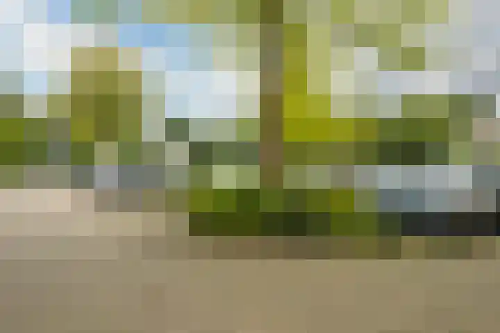 Elzendreef 134 Voorburg thumbnail 50
