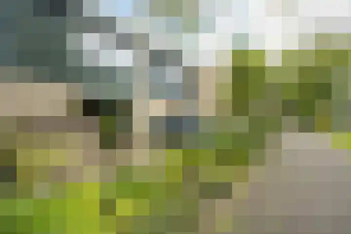 Elzendreef 134 Voorburg thumbnail 7
