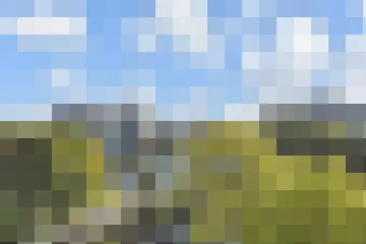 Elzendreef 157 Voorburg thumbnail 23