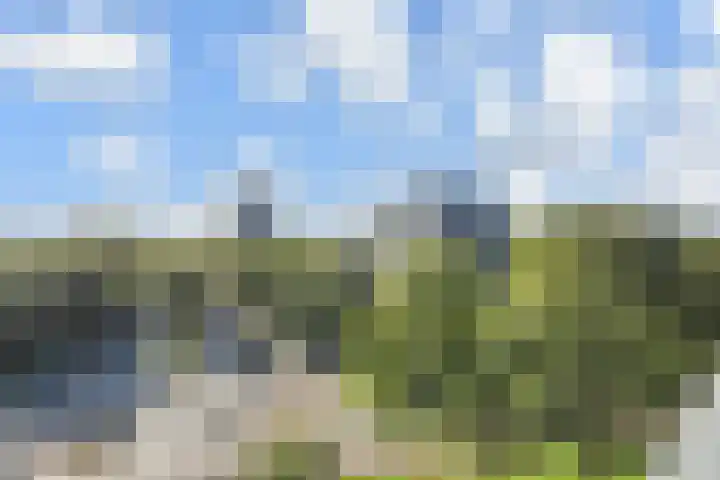 Elzendreef 157 Voorburg thumbnail 24