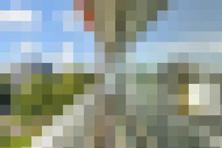 Elzendreef 157 Voorburg thumbnail 25