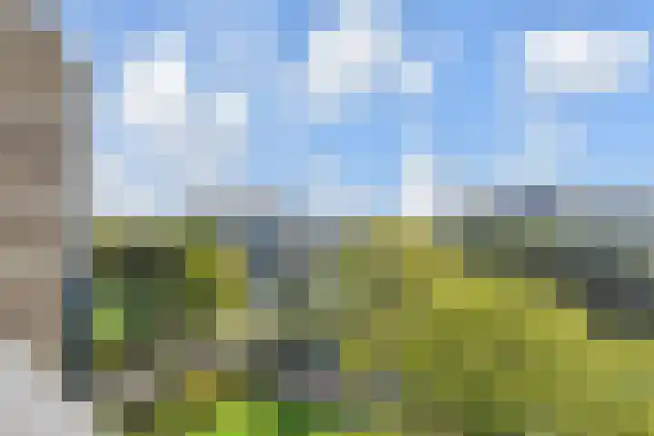 Elzendreef 157 Voorburg thumbnail 26