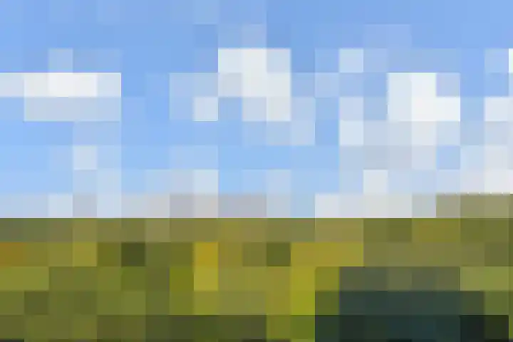 Elzendreef 157 Voorburg thumbnail 29
