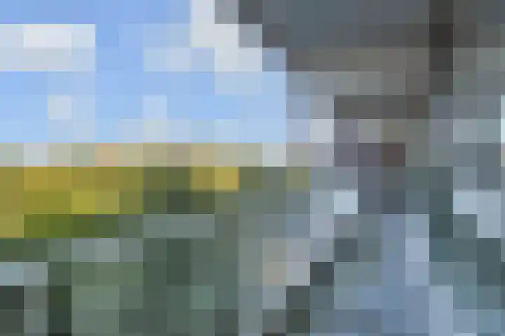 Elzendreef 157 Voorburg thumbnail 30