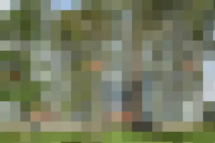 Elzendreef 157 Voorburg thumbnail 40