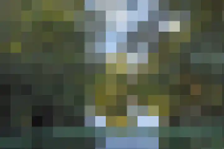 Elzendreef 157 Voorburg thumbnail 42