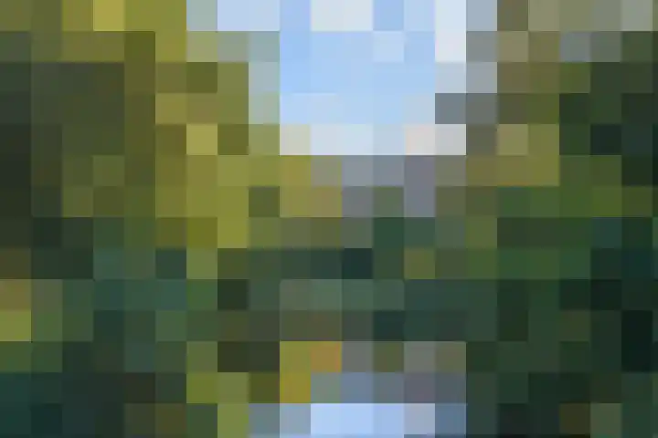 Elzendreef 157 Voorburg thumbnail 43