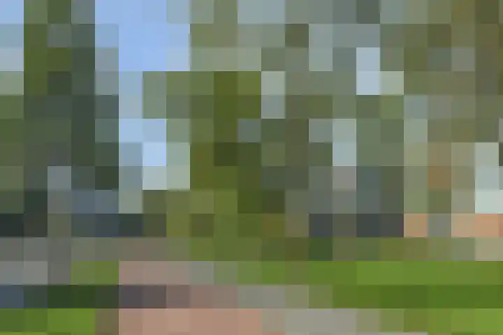 Elzendreef 157 Voorburg thumbnail 44