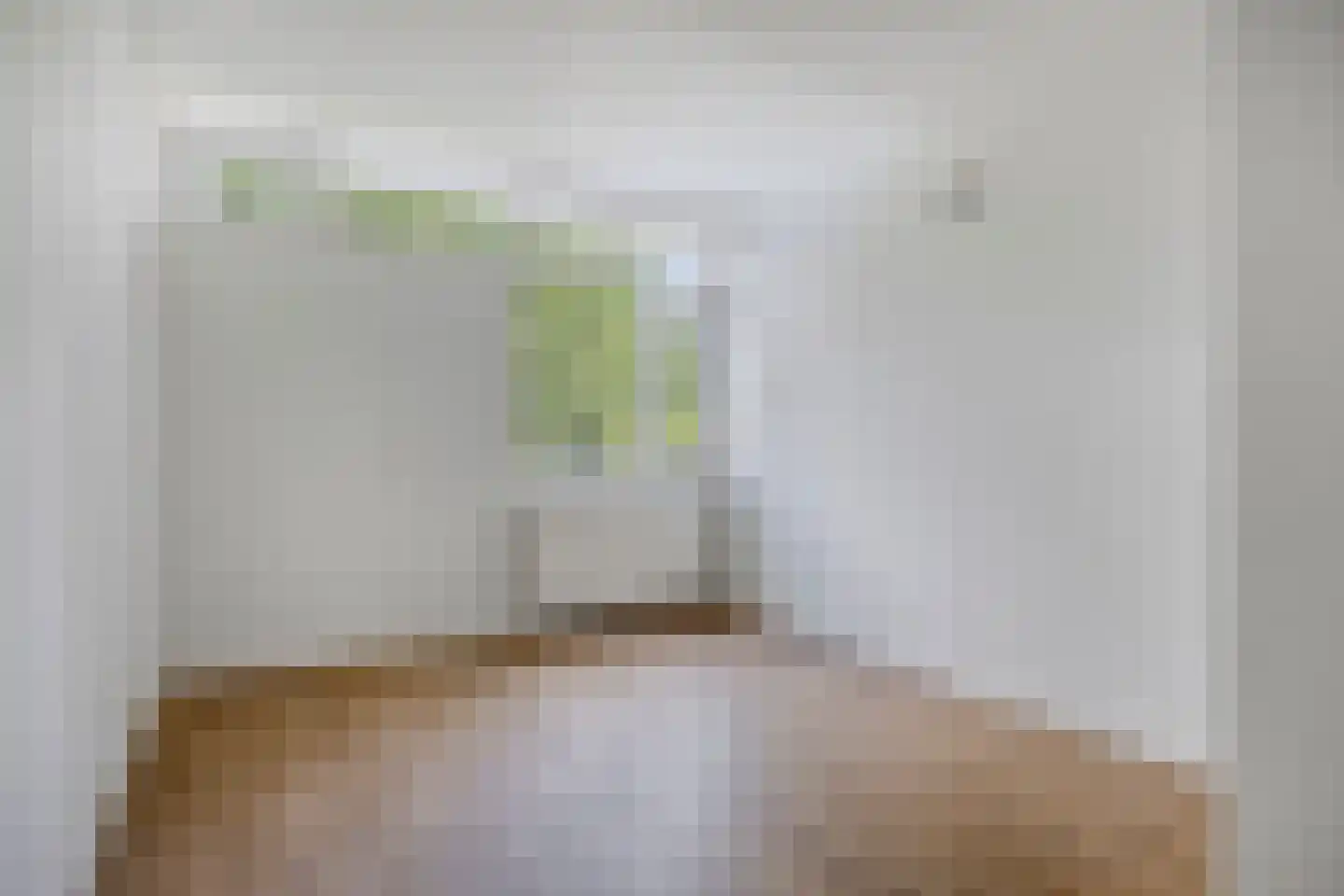 Elzendreef 158 Voorburg thumbnail 25