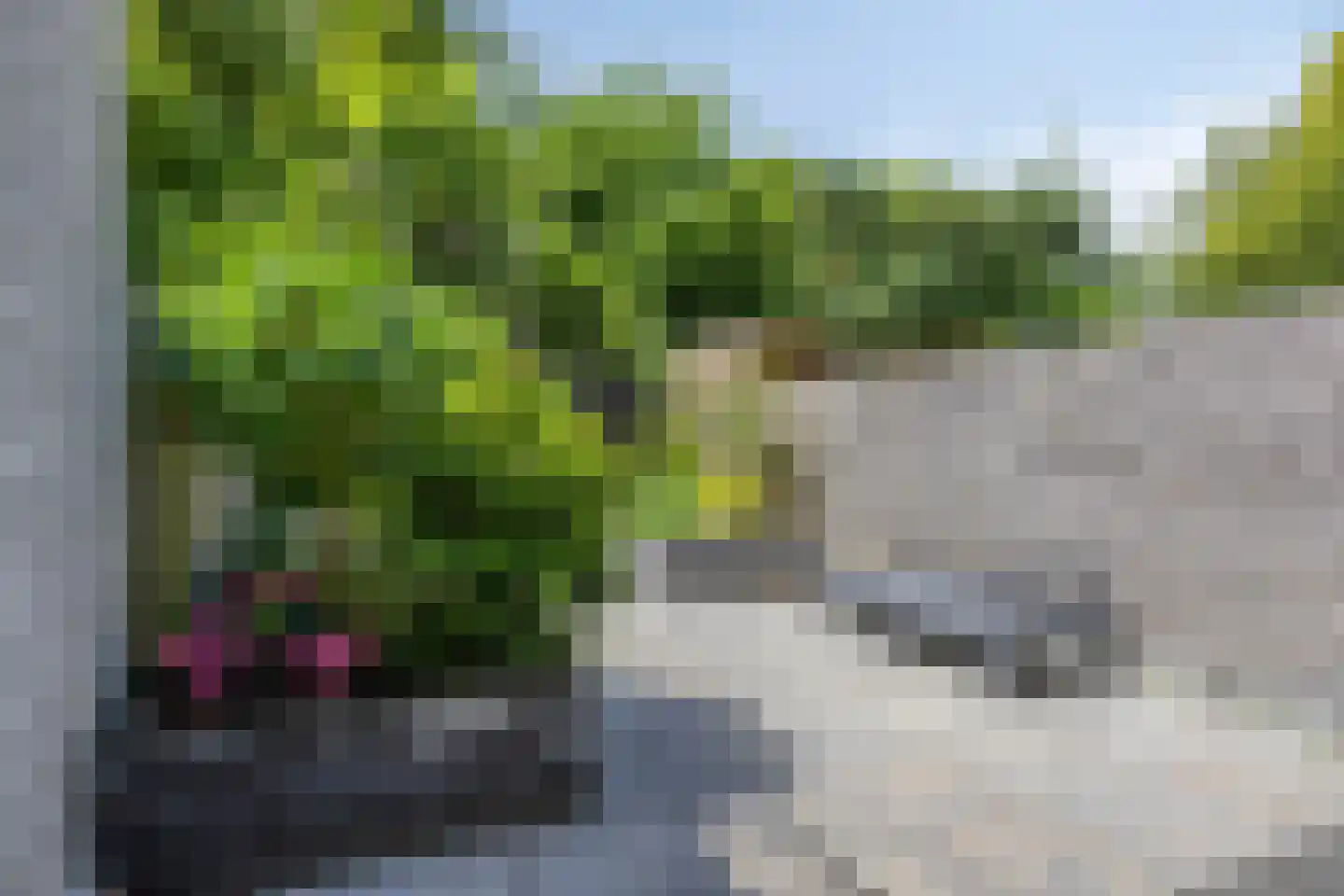 Elzendreef 158 Voorburg thumbnail 29