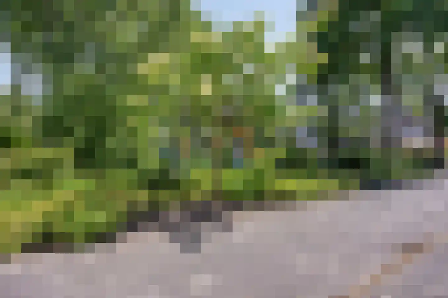 Elzendreef 158 Voorburg thumbnail 30