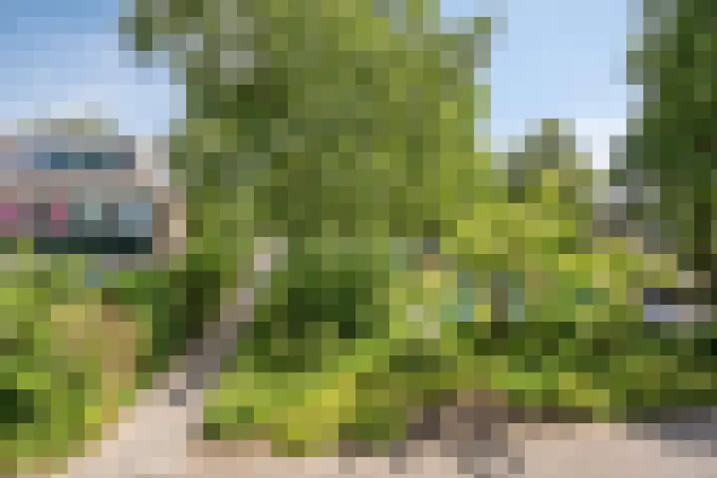 Elzendreef 158 Voorburg thumbnail 32
