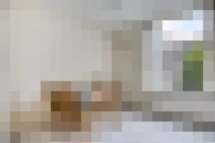 Elzendreef 16 Geffen thumbnail 10