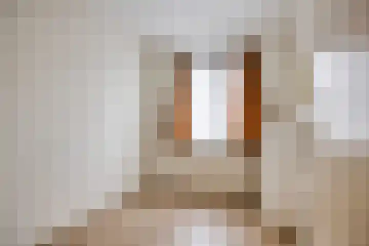 Elzendreef 16 Geffen thumbnail 13