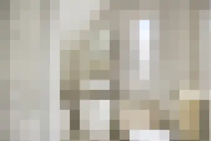 Elzendreef 16 Geffen thumbnail 15