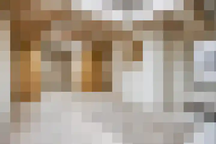 Elzendreef 16 Geffen thumbnail 19