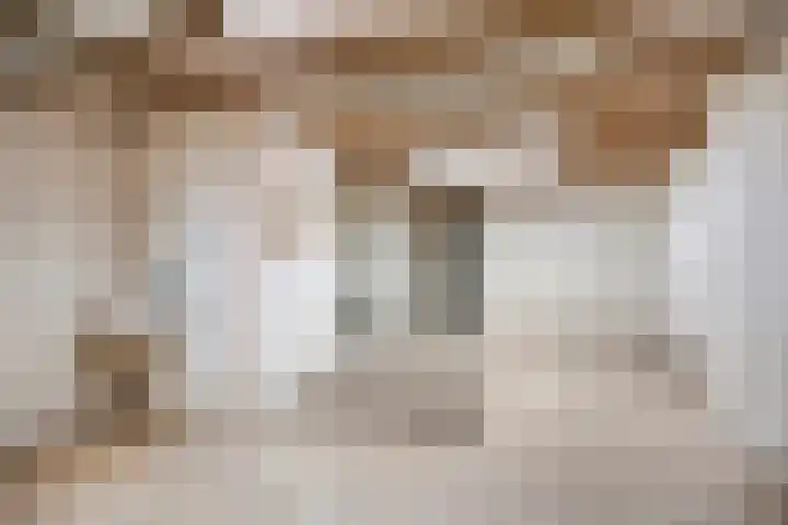 Elzendreef 16 Geffen thumbnail 20