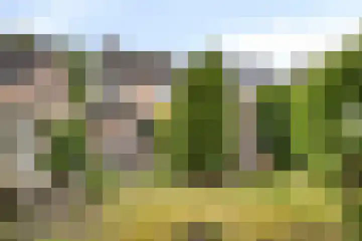 Elzendreef 16 Geffen thumbnail 22