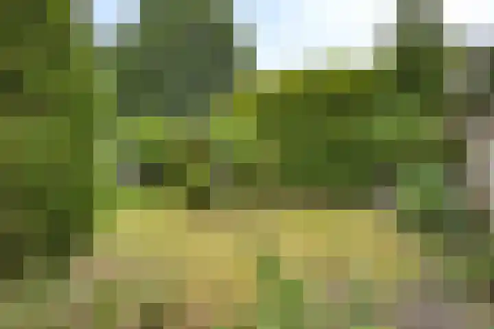 Elzendreef 16 Geffen thumbnail 23