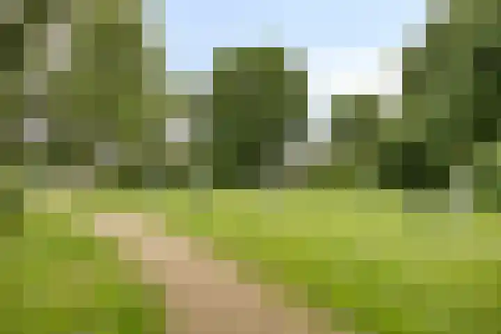 Elzendreef 16 Geffen thumbnail 24