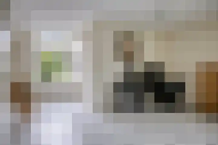 Elzendreef 16 Geffen thumbnail 7