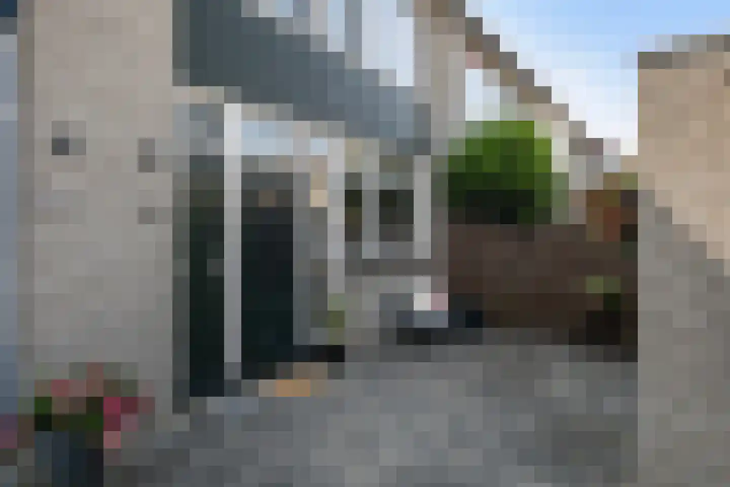 Elzendreef 18 Vlaardingen thumbnail 12