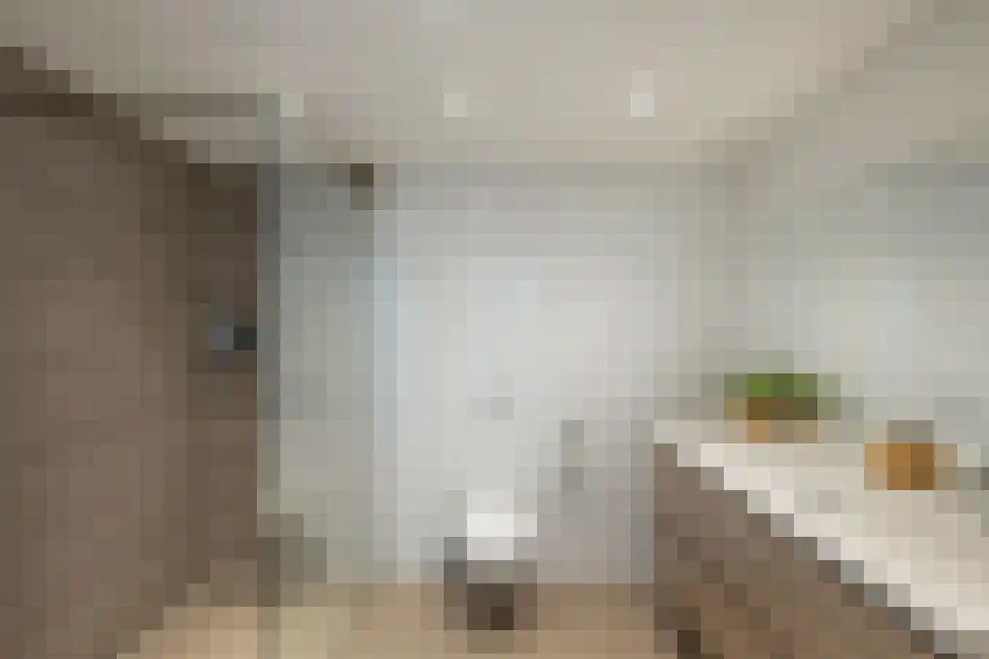 Elzendreef 18 Vlaardingen thumbnail 7