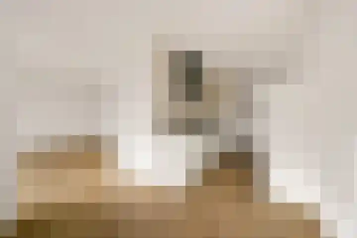 Elzendreef 189 Voorburg thumbnail 14