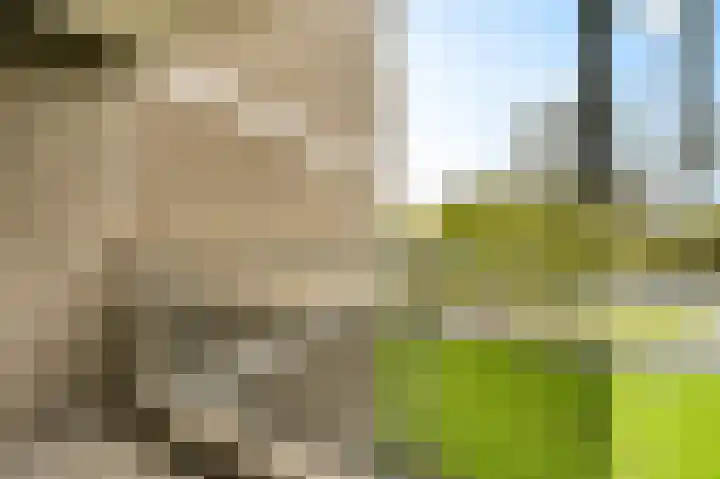 Elzendreef 189 Voorburg thumbnail 19