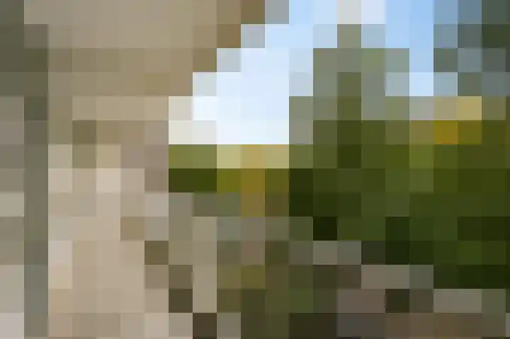 Elzendreef 189 Voorburg thumbnail 26