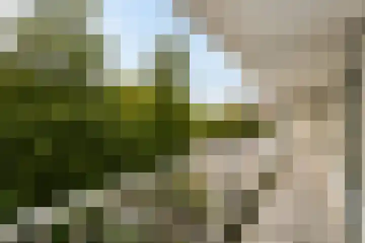 Elzendreef 189 Voorburg thumbnail 27