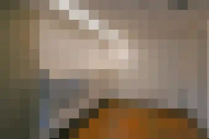 Elzendreef 189 Voorburg thumbnail 29