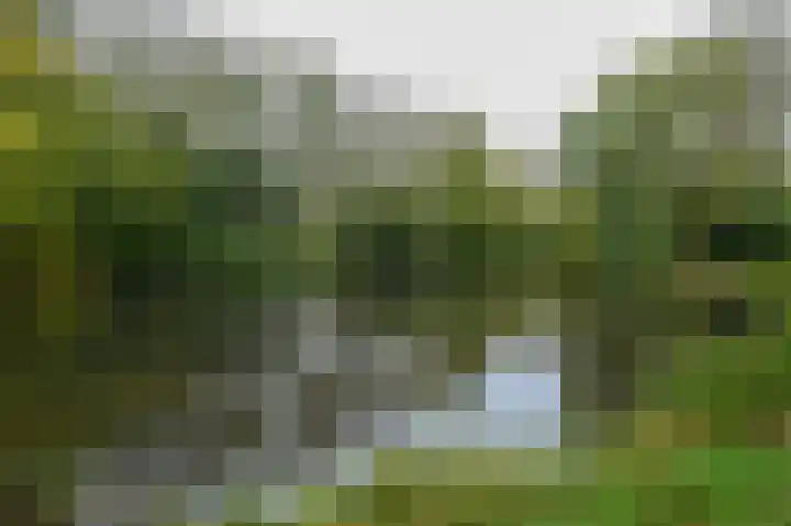 Elzendreef 189 Voorburg thumbnail 31