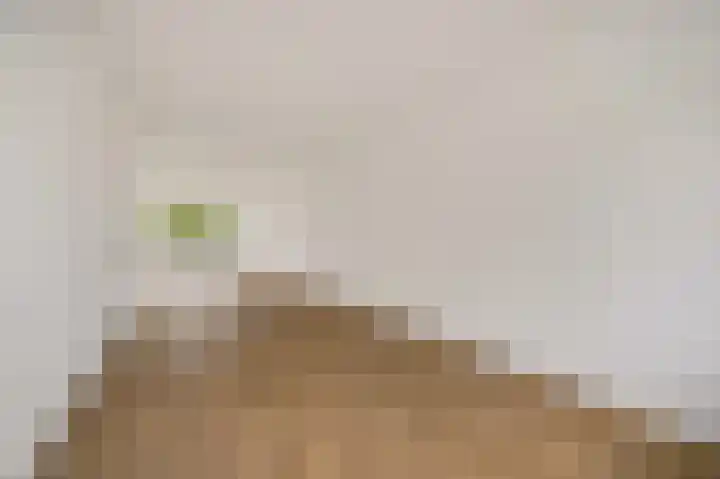 Elzendreef 189 Voorburg thumbnail 8