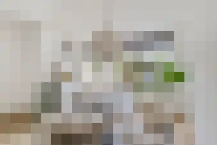 Elzendreef 2 Ulvenhout thumbnail 15