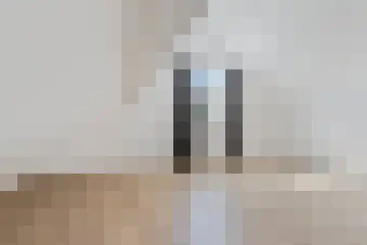 Elzendreef 2 Ulvenhout thumbnail 30