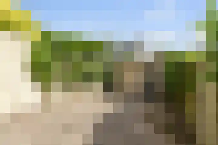 Elzendreef 2 Ulvenhout thumbnail 35