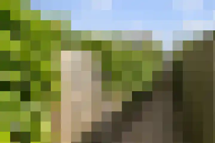 Elzendreef 2 Ulvenhout thumbnail 36