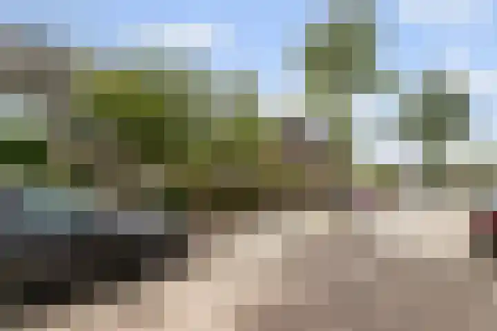 Elzendreef 2 Ulvenhout thumbnail 38