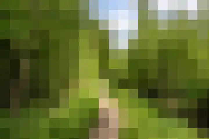 Elzendreef 2 Ulvenhout thumbnail 40