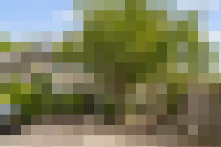 Elzendreef 2 Ulvenhout thumbnail 6