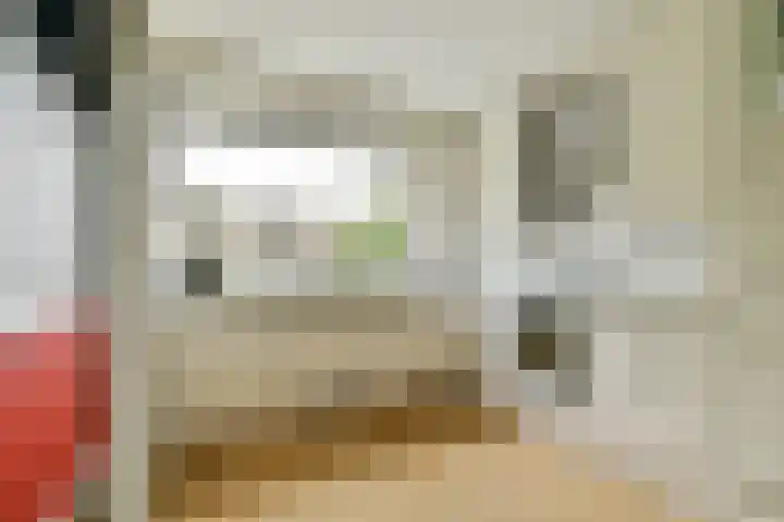 Elzendreef 21 Vlaardingen thumbnail 13