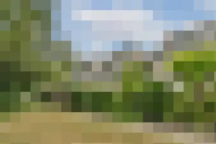 Elzendreef 21 Vlaardingen thumbnail 36